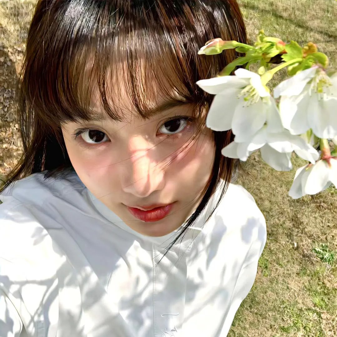 燕子